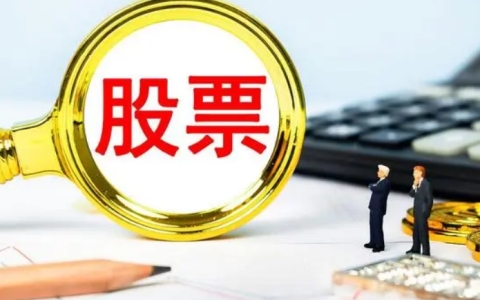 实现投资收益最大化